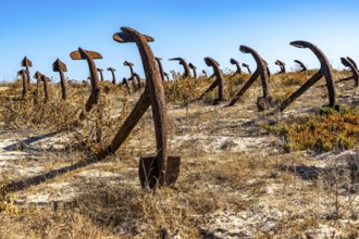 Cemitério das âncoras, anchor cemetery, around 250 iron anchors are placed here, they used to