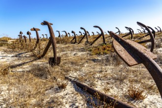 Cemitério das âncoras, anchor cemetery, around 250 iron anchors are placed here, they used to