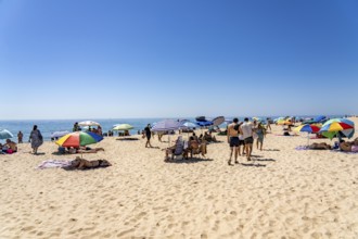 Kilometre-long beach Praia da Ilha de Tavira, on the island off Tavira, partly managed, Algarve,