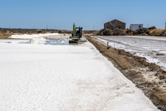 Salt extraction on the Algarve coast in Portugal, 95 per cent of Portuguese sea salt is extracted