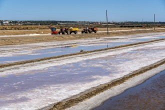 Salt extraction on the Algarve coast in Portugal, 95 per cent of Portuguese sea salt is extracted