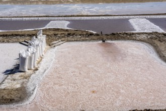 Salt extraction on the Algarve coast in Portugal, 95 per cent of Portuguese sea salt is extracted