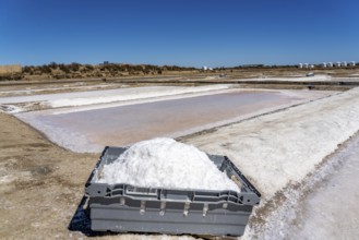 Salt production on the Algarve coast in Portugal, 95 per cent of Portuguese sea salt is extracted