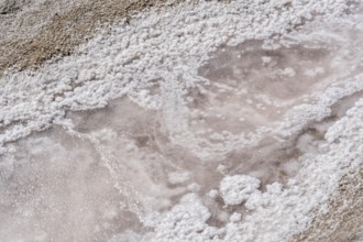 Salt extraction on the Algarve coast in Portugal, 95 per cent of Portuguese sea salt is extracted