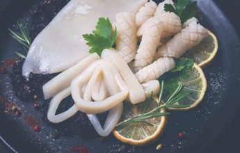 Fresh squid, raw, carcass, cut into rings, top view, no people