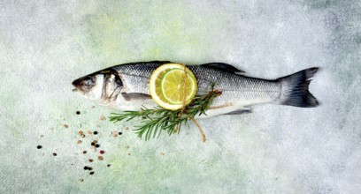 Fresh, raw, sea bass fish, with spices and citrus fruits, one piece, top view, no people