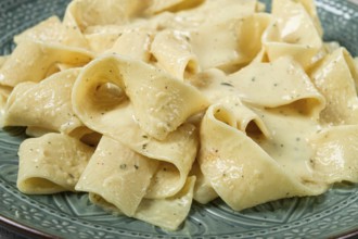 Pasta papardelle in creamy garlic sauce, traditional Italian cuisine, pasta carbonara, homemade, no