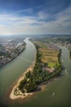 Aerial view, Rhine, Rhine island Niederwerth, Koblenz, Rhineland-Palatinate, Germany, Europe Aerial
