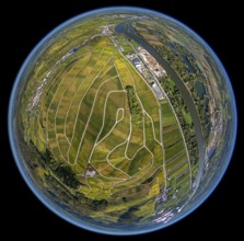 Aerial photo, wine-growing region Moselle Luxembourg, vineyards, Wellenstein, Saarland,