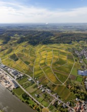 Aerial photo, wine-growing region Moselle Luxembourg, vineyards, Wellenstein, Saarland,