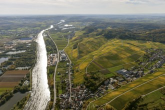 Aerial photo, wine-growing region Moselle Luxembourg, vineyards, Wellenstein, Saarland,