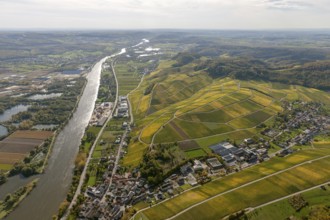 Aerial photo, wine-growing region Moselle Luxembourg, vineyards, Wellenstein, Saarland,