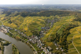 Aerial photo, wine-growing region Moselle Luxembourg, vineyards, Remich, Saarland, Grevenmacher,