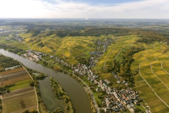 Aerial photo, wine-growing region Moselle Luxembourg, vineyards, Remich, Saarland, Grevenmacher,