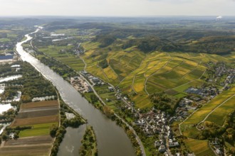 Aerial photo, wine-growing region Moselle Luxembourg, vineyards, Remich, Saarland, Grevenmacher,