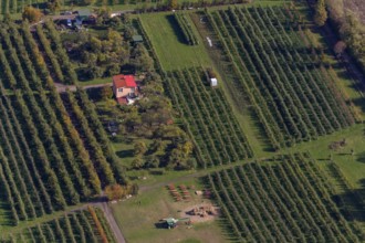 Aerial photo, vineyards, Merzig, Saarland, Germany, Europe, birds-eyes view, aerial photography,