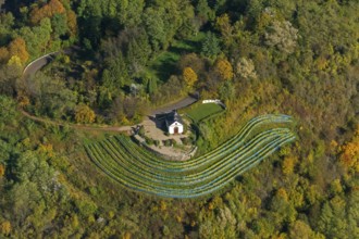 Aerial view, chapel at Ellerweg, vineyard, Merzig, Saarland, Germany, Europe, birds-eyes view,