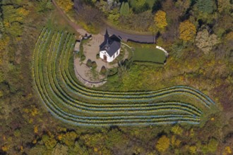 Aerial view, chapel at Ellerweg, vineyard, Merzig, Saarland, Germany, Europe, birds-eyes view,