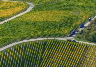 Aerial photo, wine-growing region Moselle Luxembourg, vineyards, Wellenstein, Saarland,