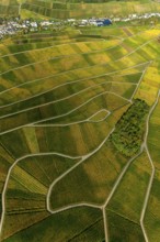 Aerial photo, wine-growing region Moselle Luxembourg, vineyards, Wellenstein, Saarland,