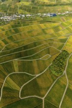 Aerial photo, wine-growing region Moselle Luxembourg, vineyards, Wellenstein, Saarland,