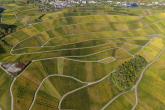 Aerial photo, wine-growing region Moselle Luxembourg, vineyards, Schwebsingen, Saarland,