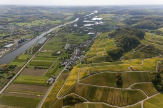 Aerial photo, wine-growing region Moselle Luxembourg, vineyards, Wellenstein, Saarland,