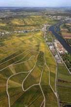 Aerial photo, wine-growing region Moselle Luxembourg, vineyards, Wellenstein, Saarland,