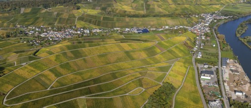 Aerial photo, wine-growing region Moselle Luxembourg, vineyards, Schwebsingen, Saarland,
