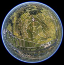 Aerial photo, wine-growing region Moselle Luxembourg, vineyards, Wellenstein, Saarland,