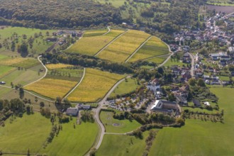 Saarländische Spielbanken GmbH Casino Schloss Berg, Renaissance castle on the Upper Moselle, Casino