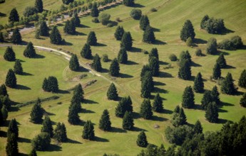 Aerial photograph, Schwarzenborn camp, tree meadow, Schwarzenborn, Hesse, Germany, Europe Aerial