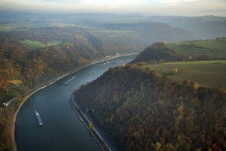 Rhine valley with colourful vineyards near St.Goarshausen, inland navigation, Sankt Goarshausen,