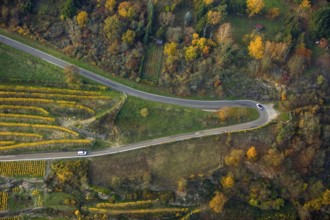Serpentine roads in the vineyards of Oberwesel near Loreley, Rhine valley, Rhine wine, colourful