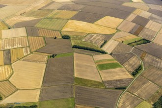 Harvested fields, small fields from inheritance divisions, agriculture, Aarbergen, Hesse, Germany,