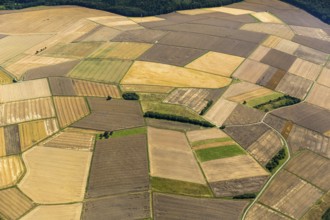 Harvested fields, small fields from inheritance divisions, agriculture, Aarbergen, Hesse, Germany,