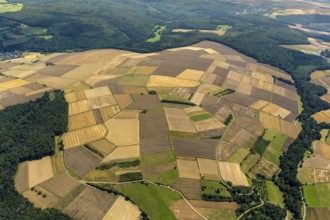 Harvested fields, small fields from inheritance divisions, agriculture, Aarbergen, Hesse, Germany,