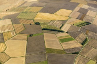 Harvested fields, small fields from inheritance divisions, agriculture, Aarbergen, Hesse, Germany,