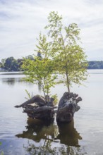 Outer mill pond in Harburg City Park, Harburg, Hamburg, Germany