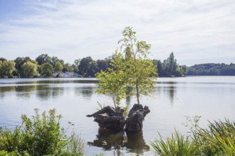 Outer mill pond in Harburg City Park, Harburg, Hamburg, Germany