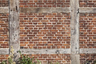 Brick wall and wooden beams on a half-timbered house in the historic centre of Harburg, Harburg,