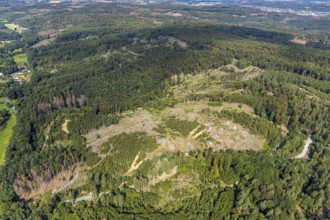 Forest damage in spruce forest nature reserve 3 wetland forest parcels north of the Spulberg,