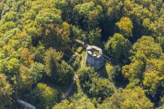 Aerial photo, Iburg, ruin, Bad Driburg, Ostwestfalen-Lippe, North Rhine-Westphalia, Germany,