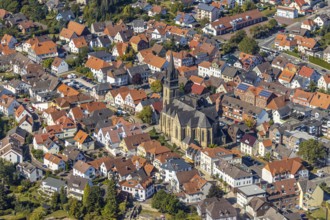 Aerial view, town centre, catholic church St. Peter and Paul, Bad Driburg, East Westphalia-Lippe,