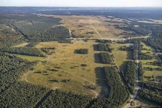 Aerial photo, armoured training area, Senne, Augustdorf, Ostwestfalen-Lippe, North