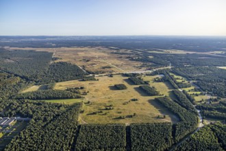 Aerial photo, armoured training area, Senne, Augustdorf, Ostwestfalen-Lippe, North