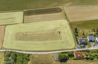 Aerial view, agricultural fields, hay harvest, tractor mowing meadow, Liboriweg, Balve, Sauerland,
