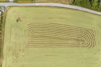 Aerial view, agricultural fields, hay harvest, tractor mowing meadow, Liboriweg, Balve, Sauerland,
