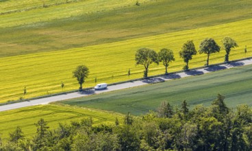 Aerial view, row of trees on country road, federal road 229, Langenholthausen, Balve, Sauerland,