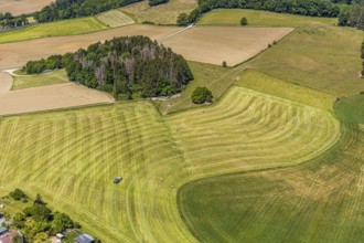 Aerial view, agricultural fields, tractor mowing meadow, Langenholthausen, Balve, Sauerland, North